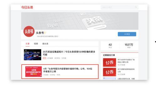 头条号财经领域不认证,不认证账号的生存之道与机遇