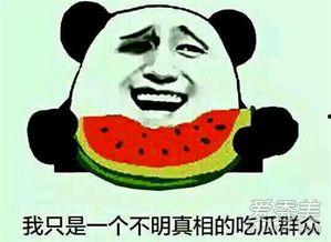 吃瓜有多少种意思,揭秘“吃瓜”一词的多样内涵