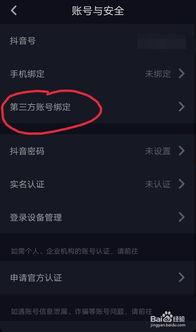 从头条同步到抖音比例,高比例数据揭示传播趋势”
