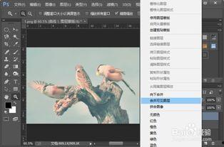 头条拍摄后期调色技巧,打造视觉盛宴的调色技巧解析