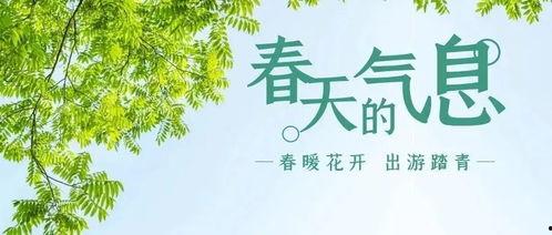 今日头条春意正浓下载