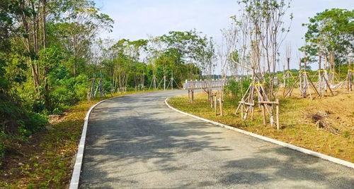贵港草坪屯网红打卡地点,网红打卡新地标，绿意盎然的美景诱惑