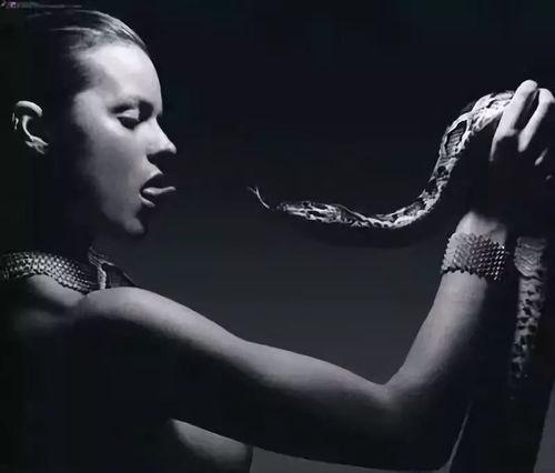 蛇咬明星,惊心动魄的意外瞬间