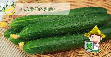 吃瓜甜甜佳在哪看,吃瓜甜甜佳的观看攻略，让你不错过每一刻精彩