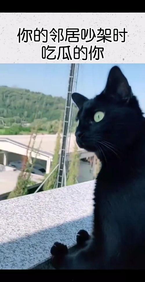 邻居吵架吃瓜图,吃瓜群众围观吵架现场