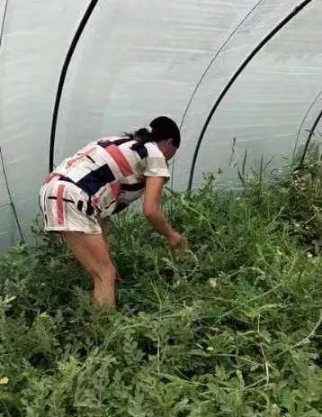 云下吃瓜,揭秘网络热议背后的真相与趣味