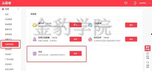 头条什么是付费专栏,内容付费时代的知识变现新趋势